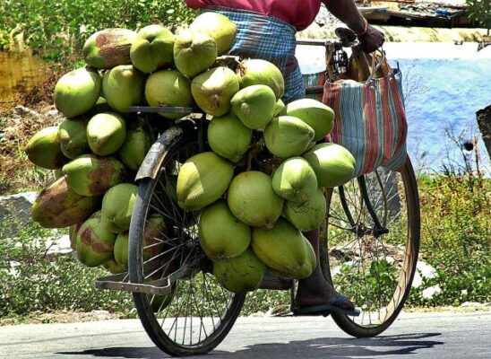 coconut water, myth or reality?