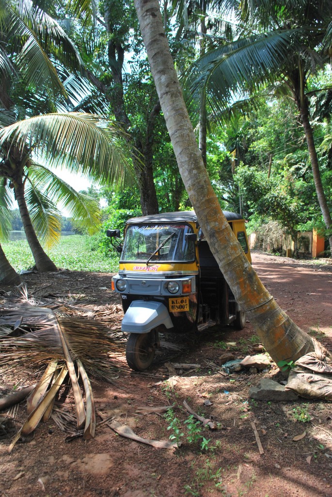 Kerala backwaters - Autorickshaw