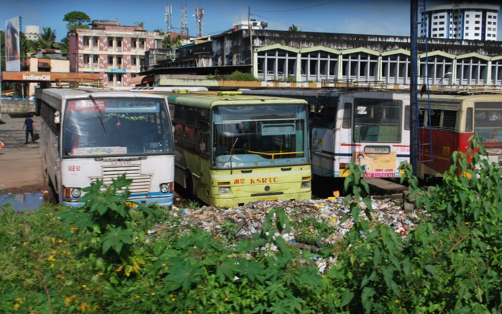 A sample of Indian buses